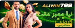 Aliwin 789 3