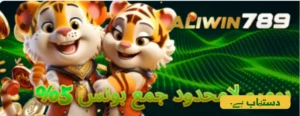 Aliwin 789 2