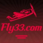 Fly33