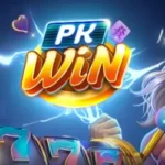 PKWIN